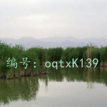 ջ