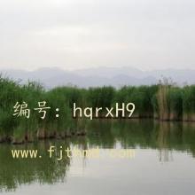 ļ