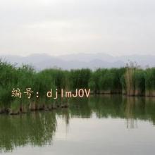 ջ
